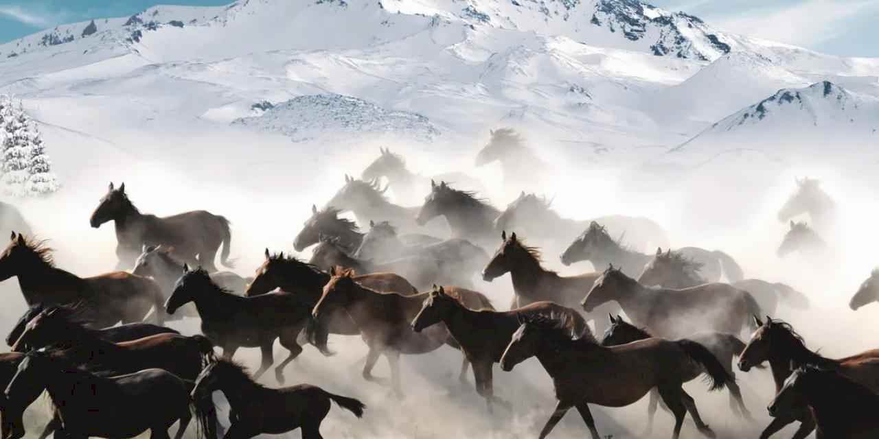 Valilik ve Büyükşehir’den “Hürmetçi Sazlığı” için iş birliği