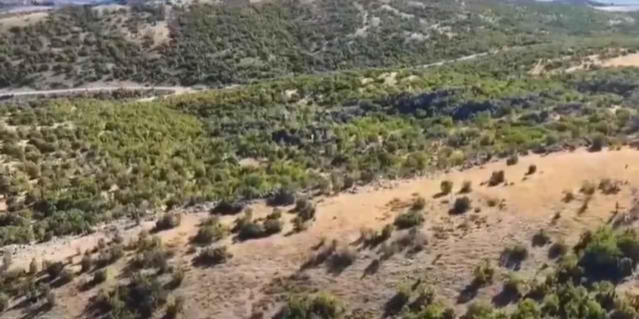 Adıyaman’da kaybolan 52 küçükbaş hayvan jandarma tarafından bulundu