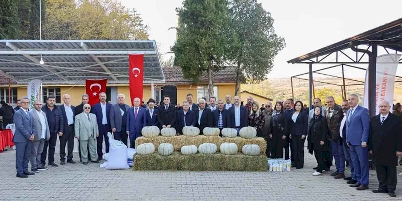 Kızıldamlar Kestane Kabağı Festivali'ne coşkulu kutlama