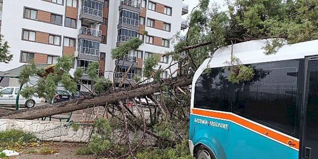 İzmir Büyükşehir Belediyesi 850 personel ve 640 araçla sahada