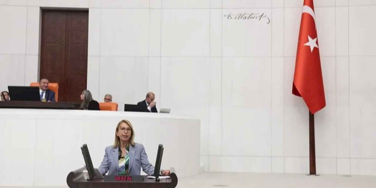 CHP'li vekilden bütçe eleştirisi