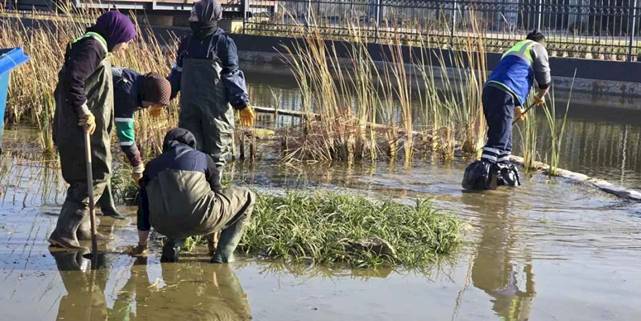 Bursa Büyükşehir'den Gökdere Millet'e bilimsel dokunuş