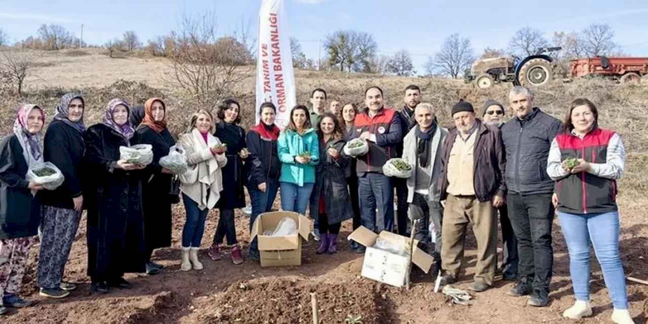 Bursa'da salepe kadın eli değdi