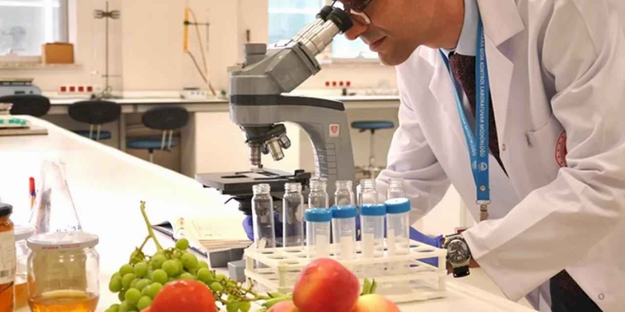 Bakanlık o listeleri güncelledi