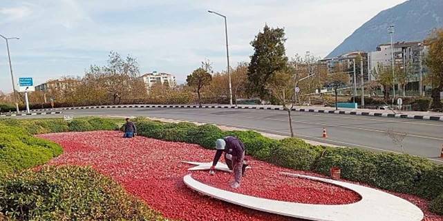 Manisa Büyükşehir, Peyzaj Çalışmalarıyla Şehir Güzelliğini Artırıyor
