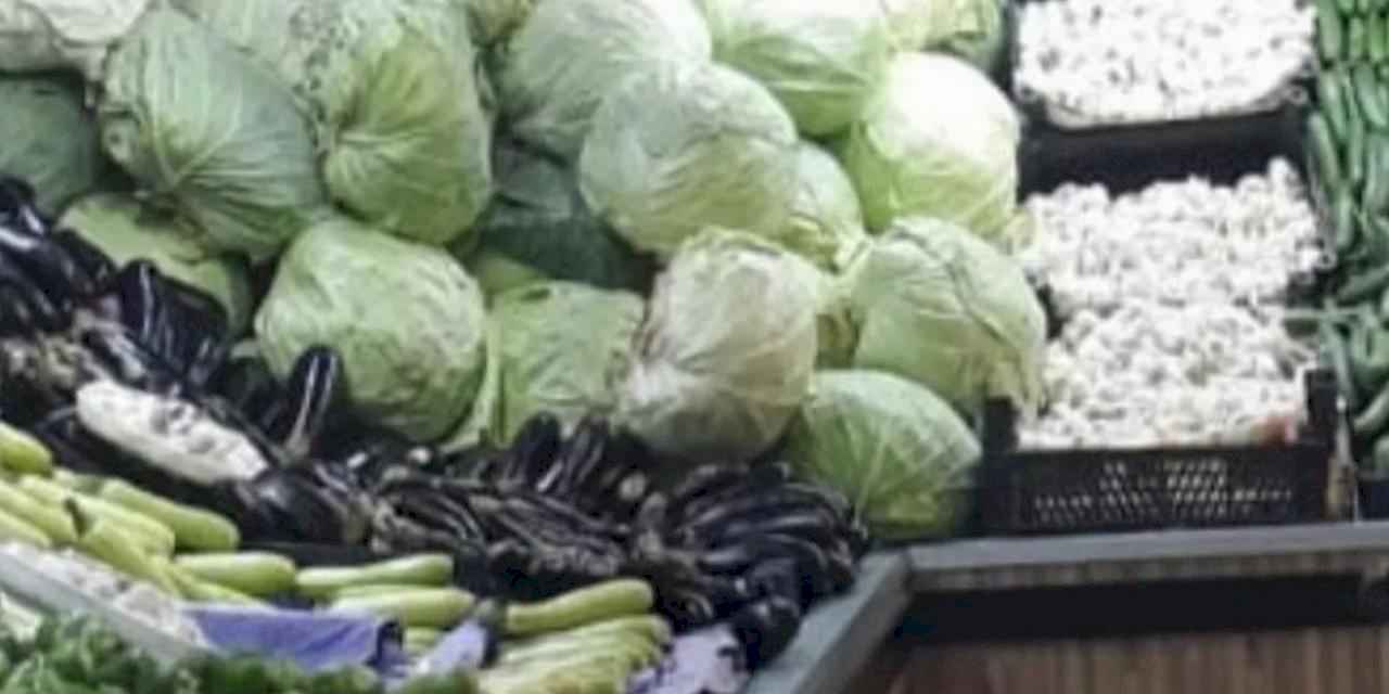 Van’da meyve israfına çözüm olacak cihaz üretildi