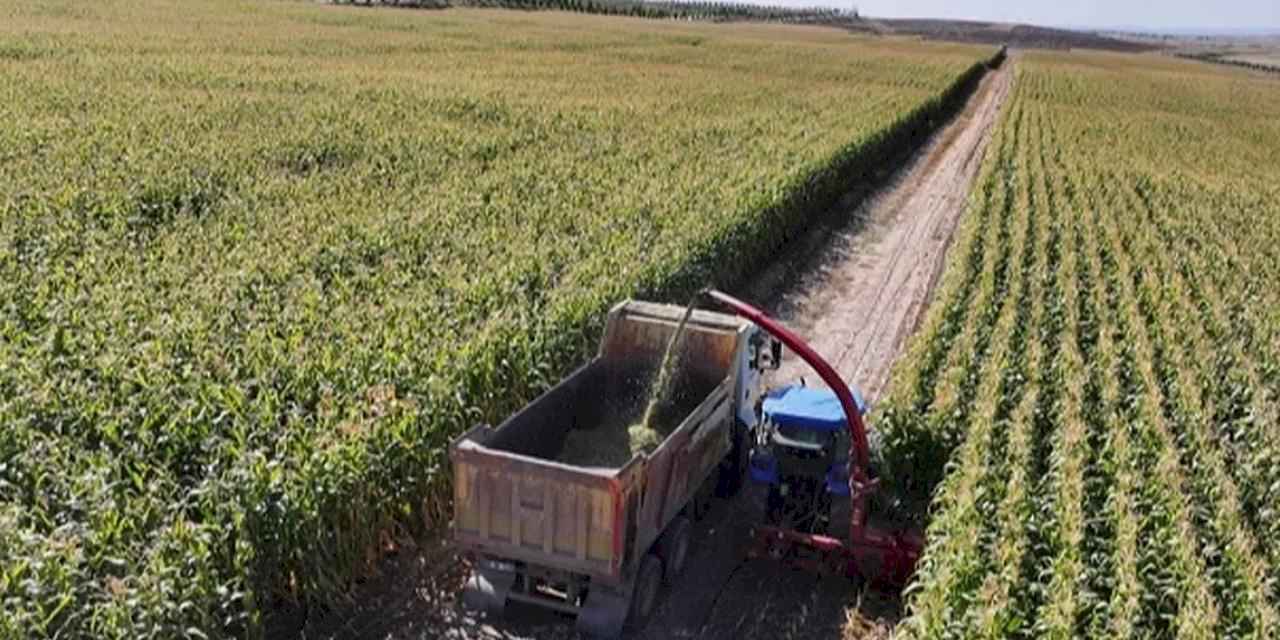 Ankara Büyükşehir yerli üreticinin yüzünü güldürdü