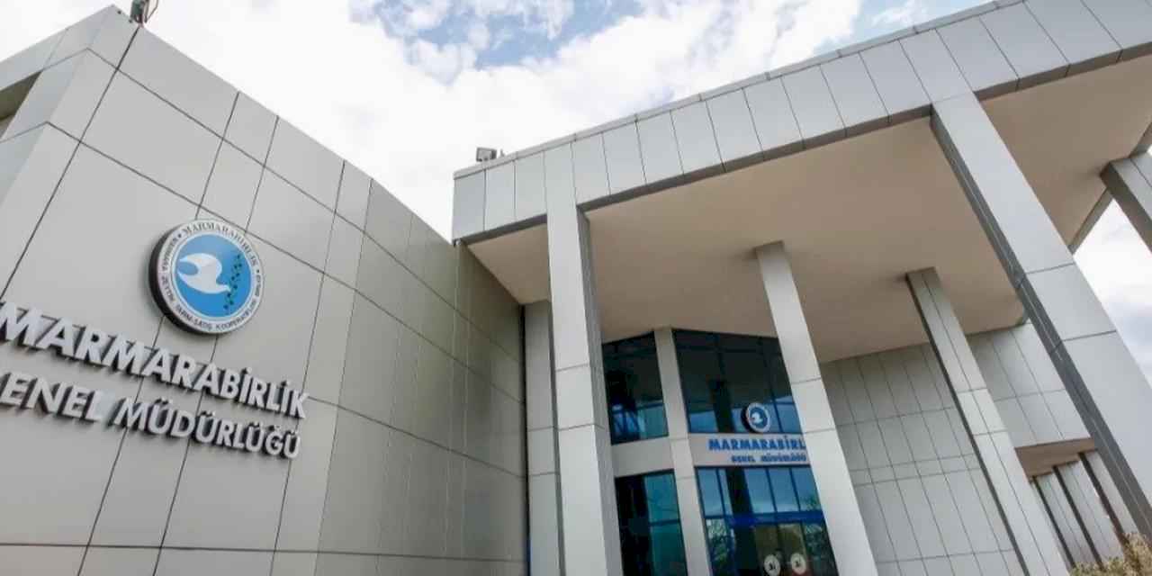 Marmarabirlik kampanyayı kapatıyor...  Zeytin üreticisinden 3 milyar 185 milyon TL’lik ürün aldı