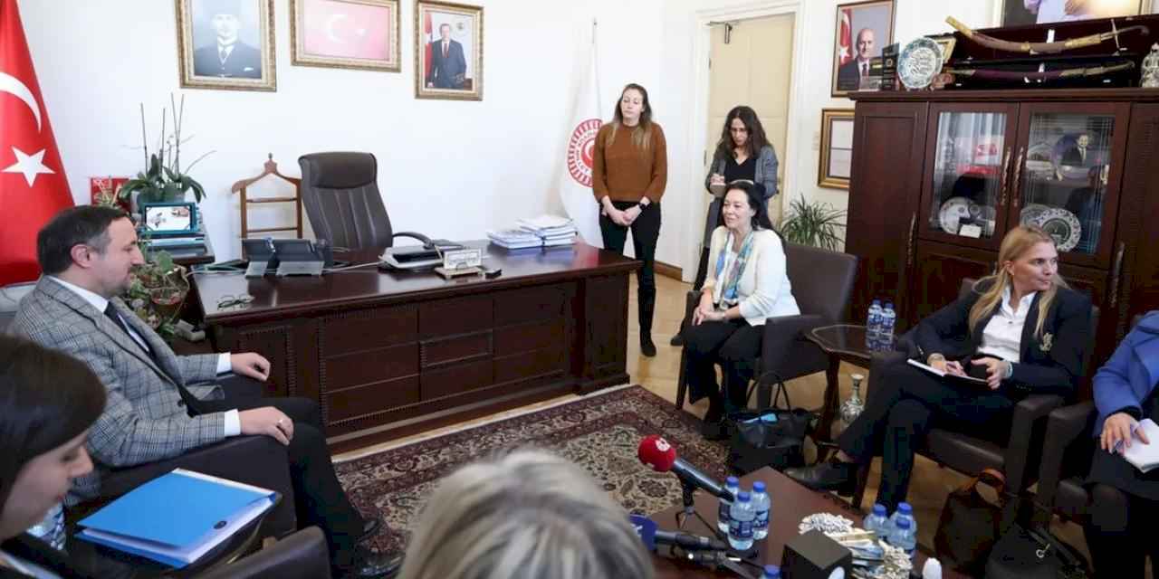 Avrupa Parlamentosu Türkiye Gölge Raportörü TBMM'de