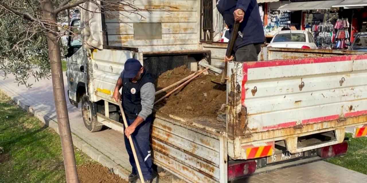 Bursa Gemlik'te çevre düzenleme çalışmaları devam ediyor