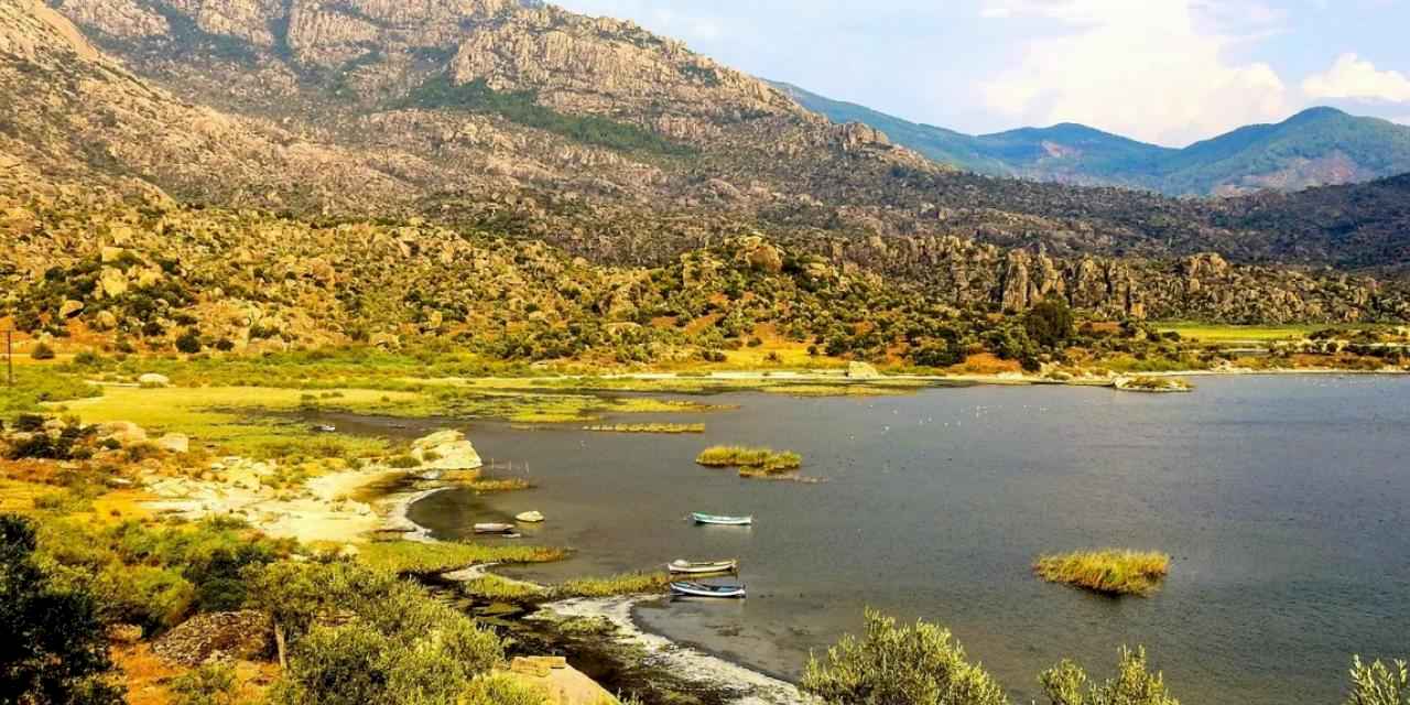 Proje Evi Kooperatifi'nden evrensel imza