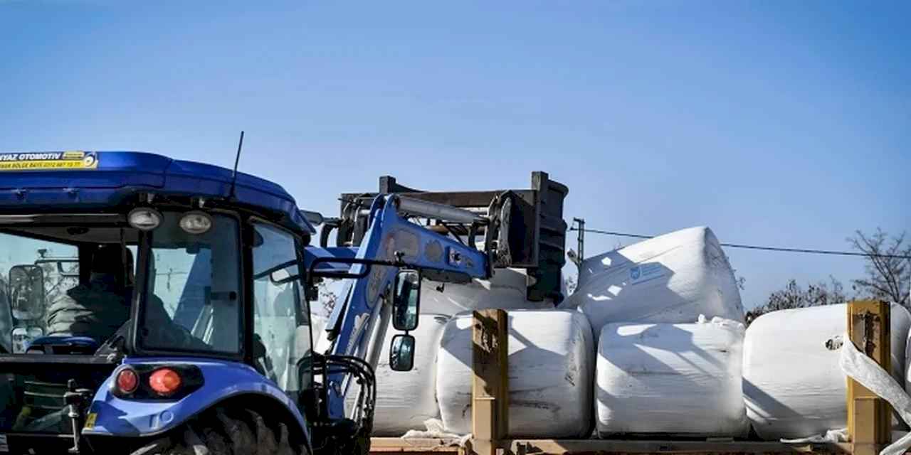 ABB'den üreticiye mısır silajı desteği