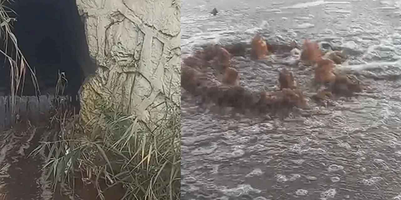 İzmir'e milyon liralık yeni bir atık su cezası daha!