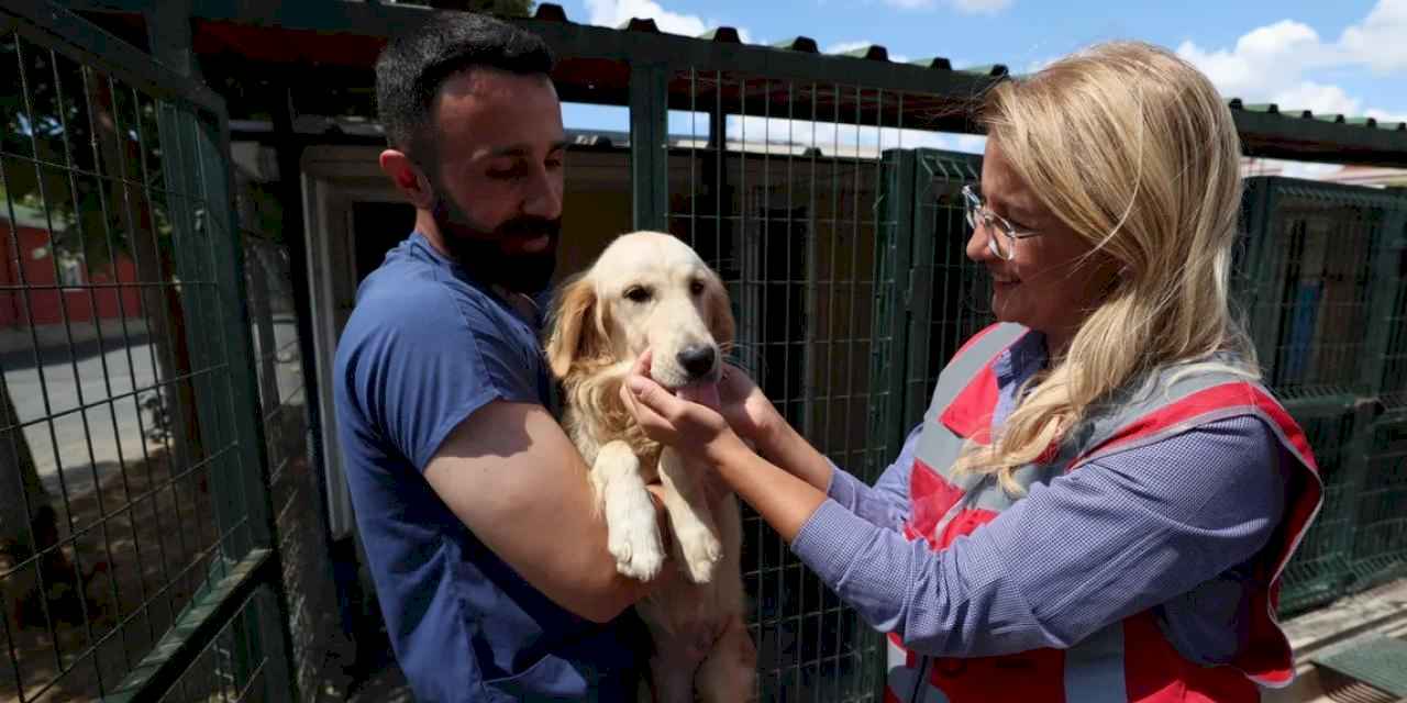 İstanbul Bakırköy Belediyesi hayvanların yanında