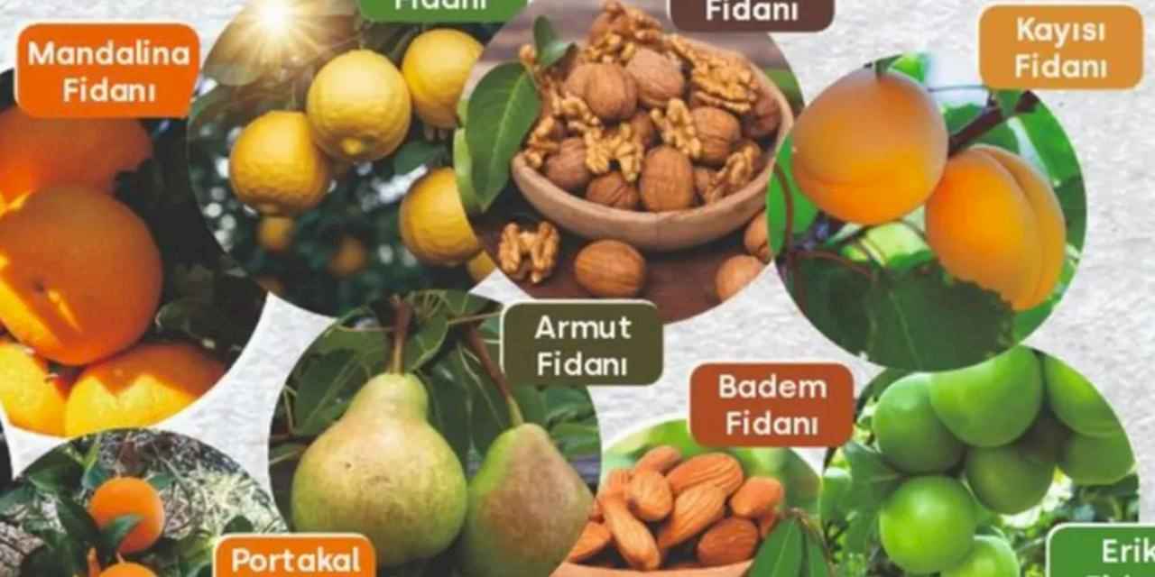 Muğla'da Milas Belediyesi tarımsal desteklemelerini sürdürüyor