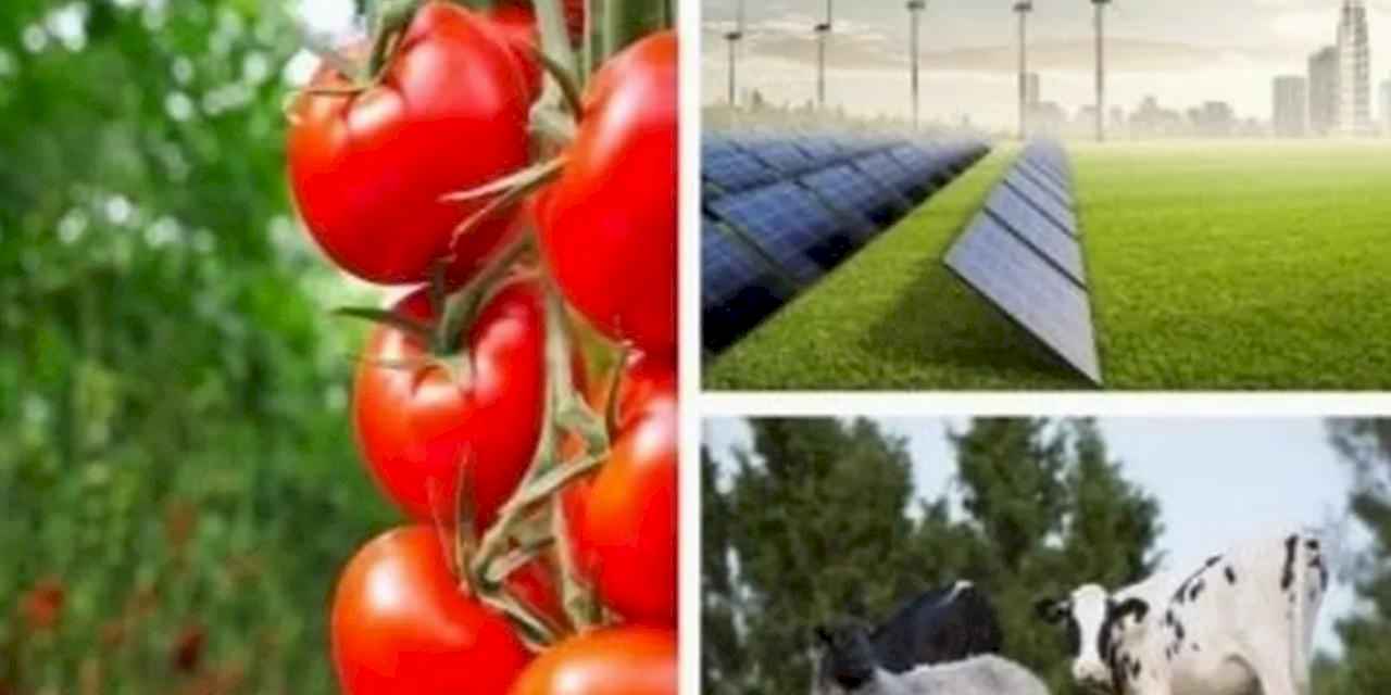 Tarıma dayalı yatırımlarıda hibelere ilişkin kriterler netleşti