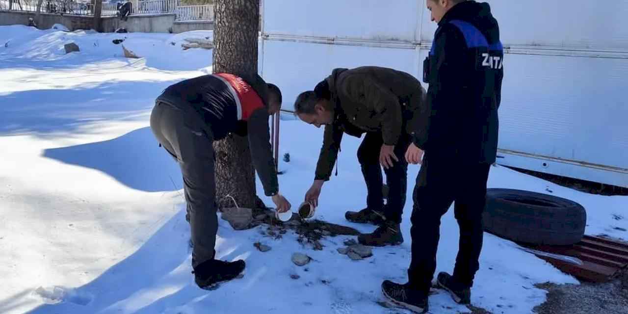 Malatya'da sokak hayvanları unutulmadı