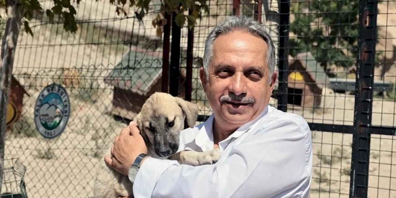 Kayseri Talas'ta sevimli patiler için çalışma