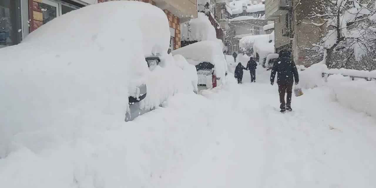 Artvin'de kar 217 köye ulaşımı kesti!