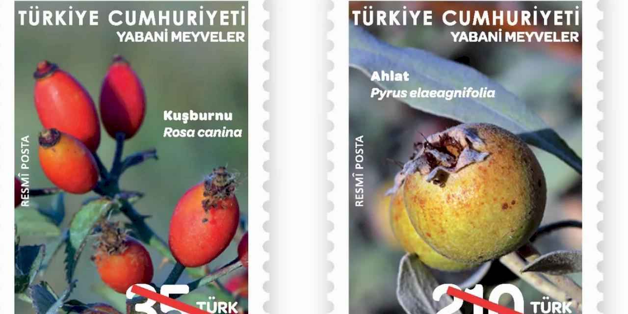 PTT temalı posta pullarını basımını sürdürüyor