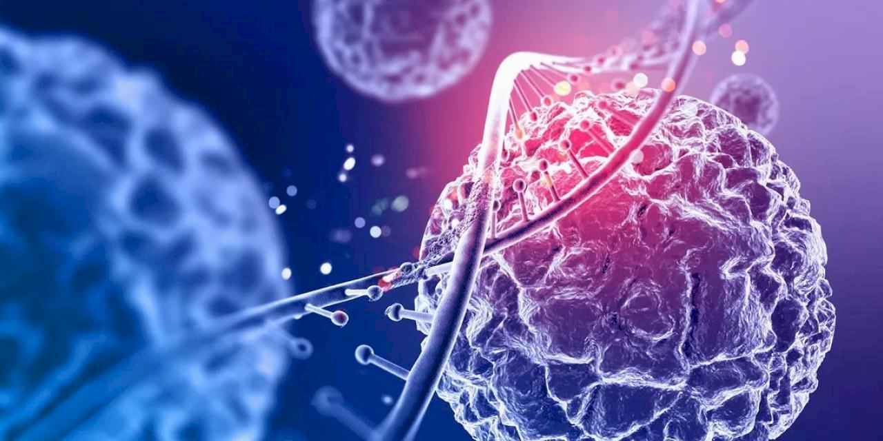 Bakan Memişoğlu duyurdu... CAR-T hücre tedavisinde yerli üretim