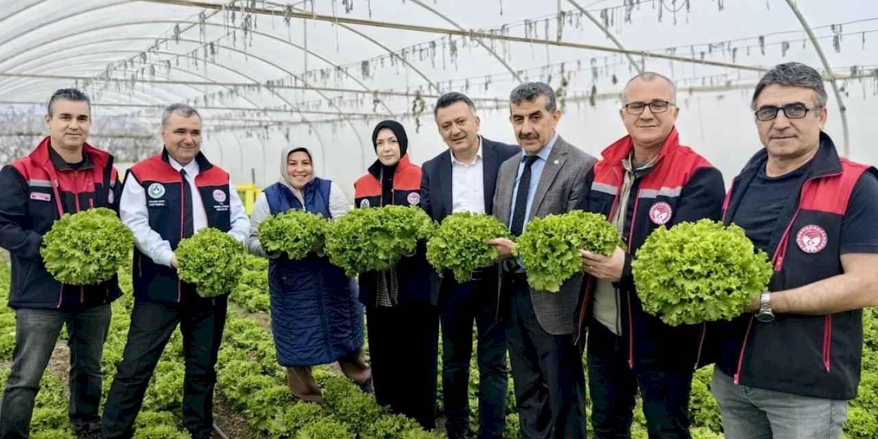 Bursa'da 'Yeşilliğe Özen Sofrada Güven' hasadı