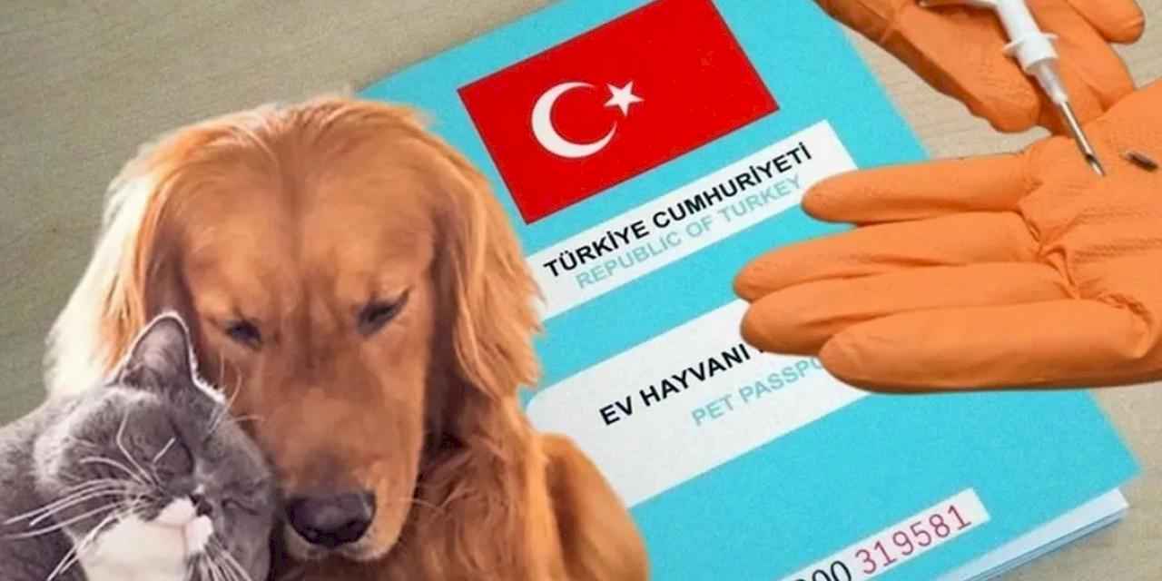 Kimliklendirilmeler yıl sonuna uzatıldı!