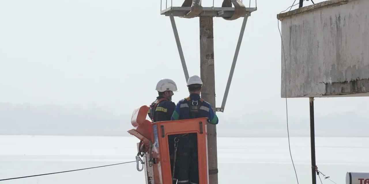 UEDAŞ elektrik direklerini can dostları için hazırladı