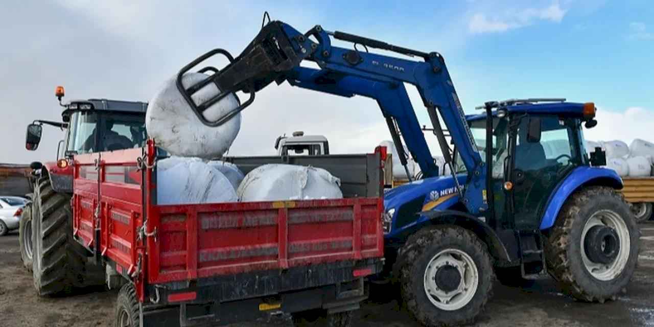 Ankara Büyükşehir'in mısır silajı desteği sürüyor