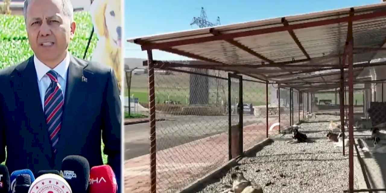 Bakan Yerlikaya sahipsiz hayvanlarla ilgili Batman'dan açıklama yapıyor