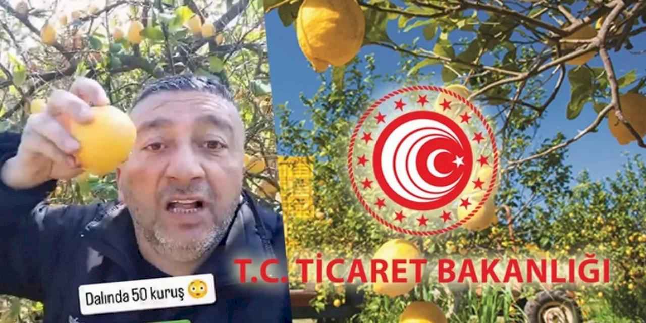 Sözde çiftçinin yalanını Bakanlık söndürdü!