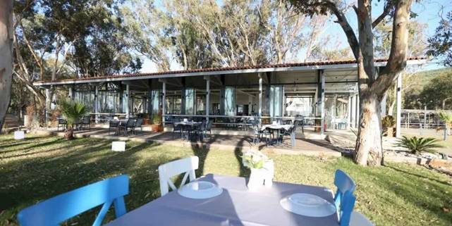 Efes Selçuk Belediyesi sosyal tesislerinde yaz hazırlığı