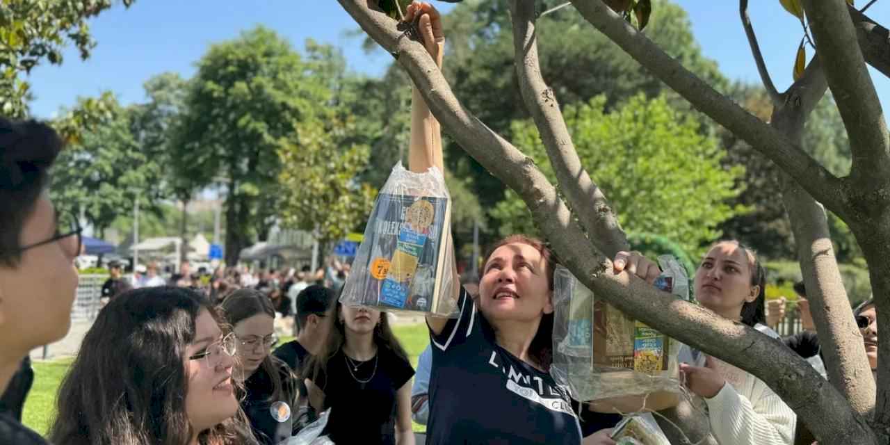 Bursa'da ağaçlar 'kitap' açtı!