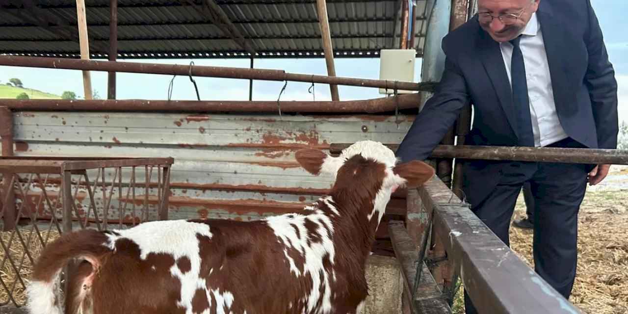 Manisa'da 'tek dam projesi' Selendi'de tanıtıldı