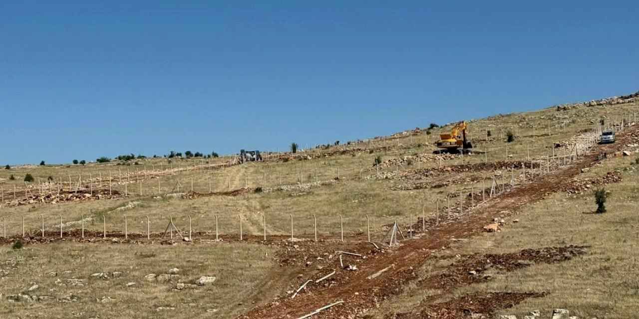 Mardin Artuklu Belediyesi’nden hayvan dostu projeler