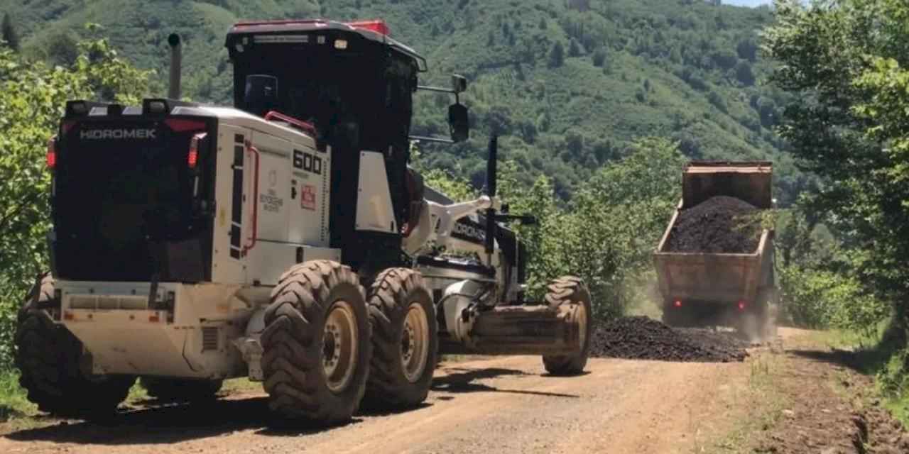 Ordu Büyükşehir'den 19 ilçede yoğun mesai