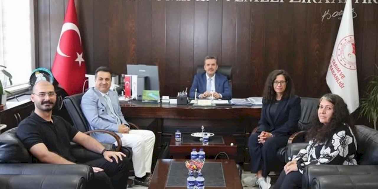 Bursa'da zeytin yetiştiriciliğinin sürdürülebilirliğine önemli iş birliği