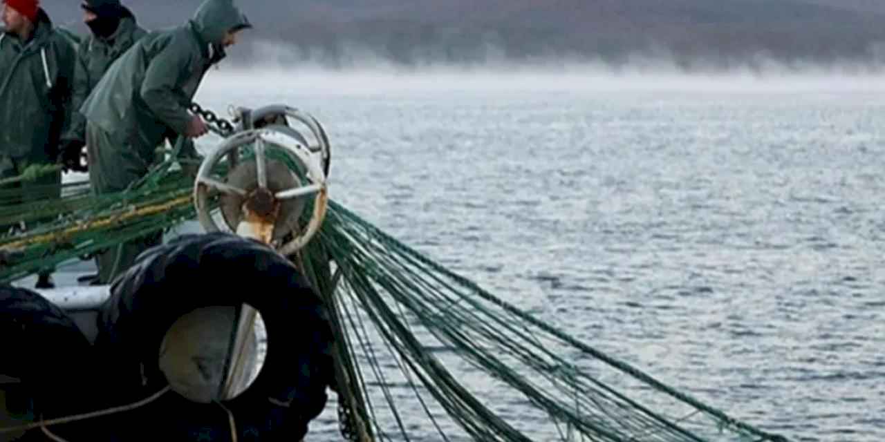 251 milyon liralık destek hesaplara yattı