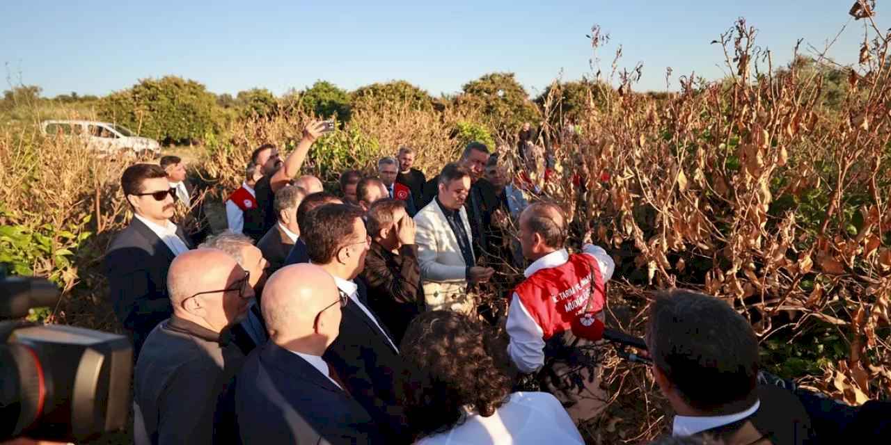 Mersin'de narenciye bahçelerine 'zirai don' incelemesi