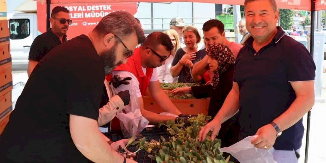İzmit'ten vatandaşa ücretsiz fide desteği