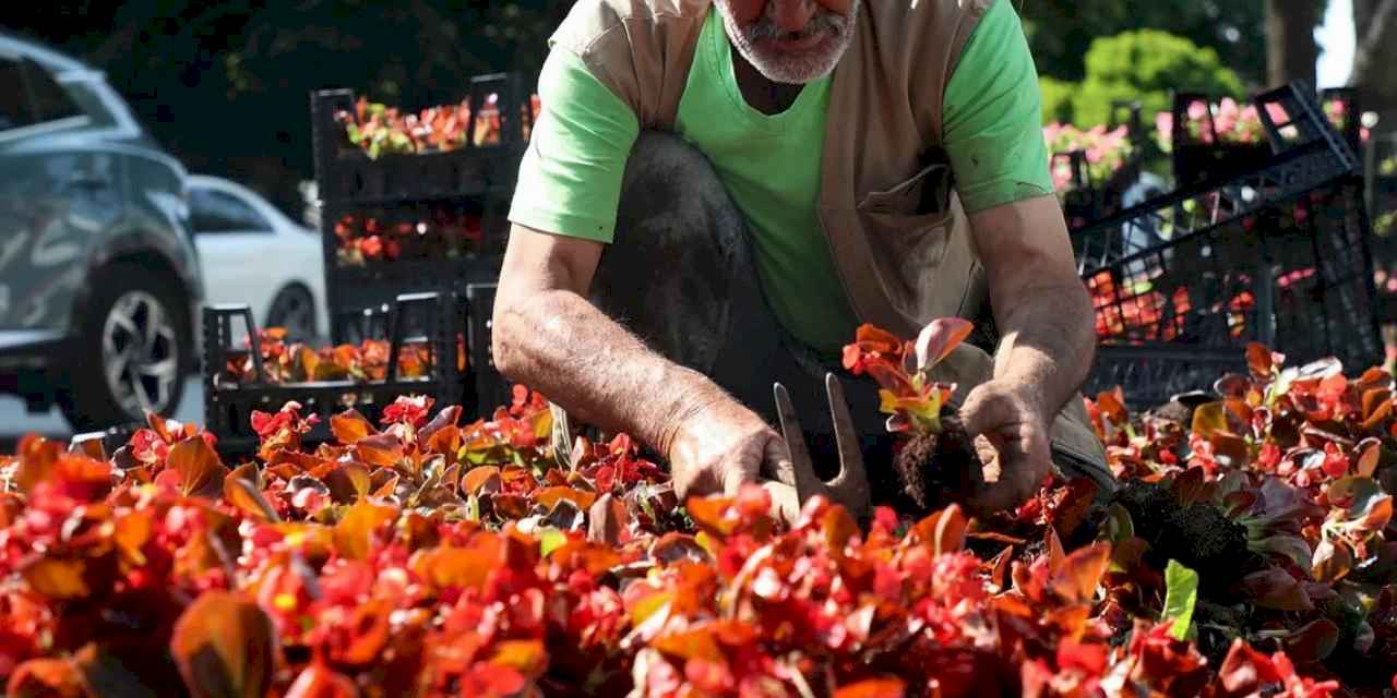 Sakarya sokaklarına güzellik katan ‘bayram’ dokunuşu