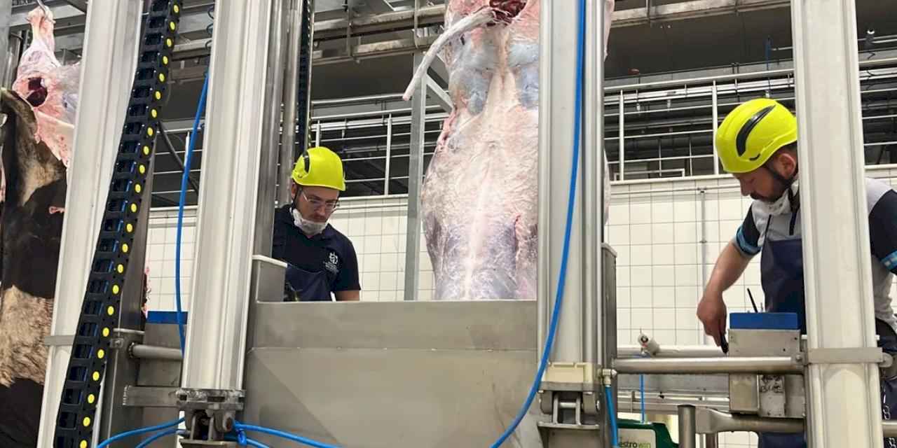 Kocaeli'den uyarı... Sakatatları açık halde çöpe atmayın