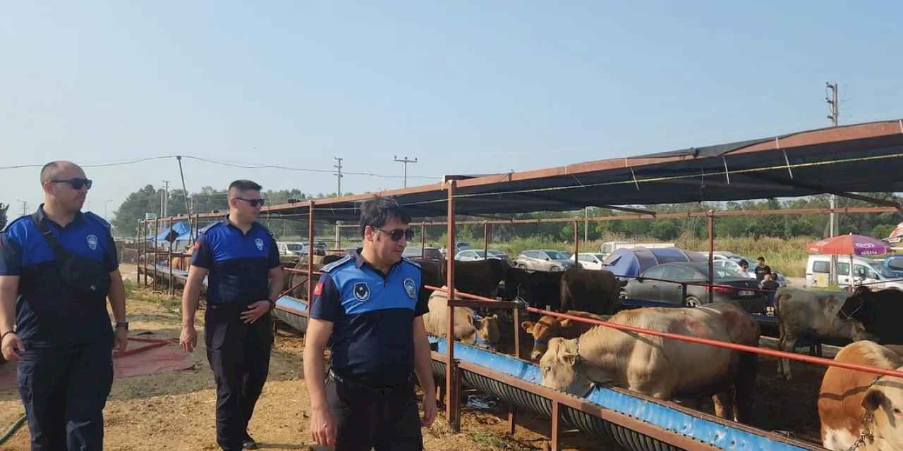 İzmir Çiğli'de kurban pazarına sıkı denetim