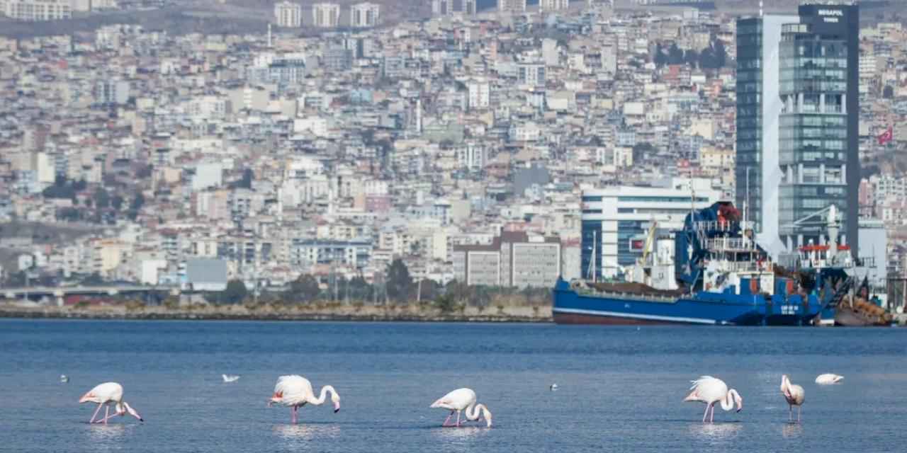 İzmir 'iklim nötr' hedeflerini dünyaya tanıttı