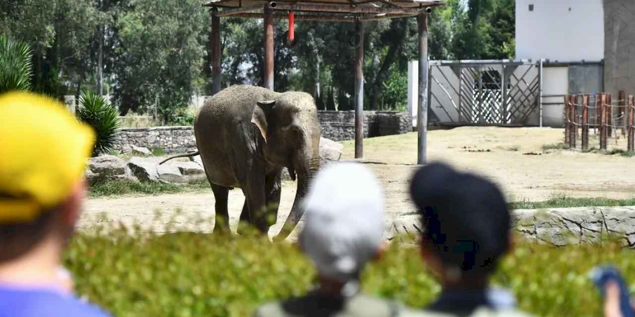 İzmir Doğal Yaşam Parkı bayramda ziyaretçileri bekliyor