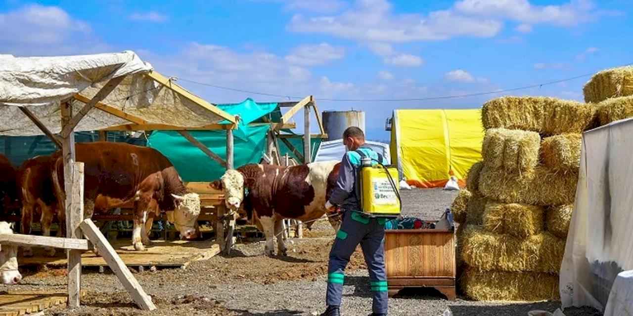 Başkent'te öncelik halk sağlığı