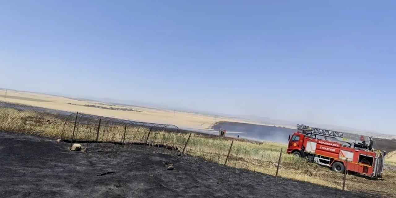 Diyarbakır Büyükşehir'den anız yangınlarına karşı uyarı