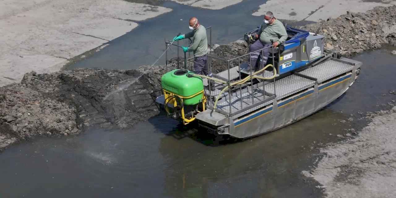 Bakırköy'de yazla birlikte vektörle mücadele hızlandı