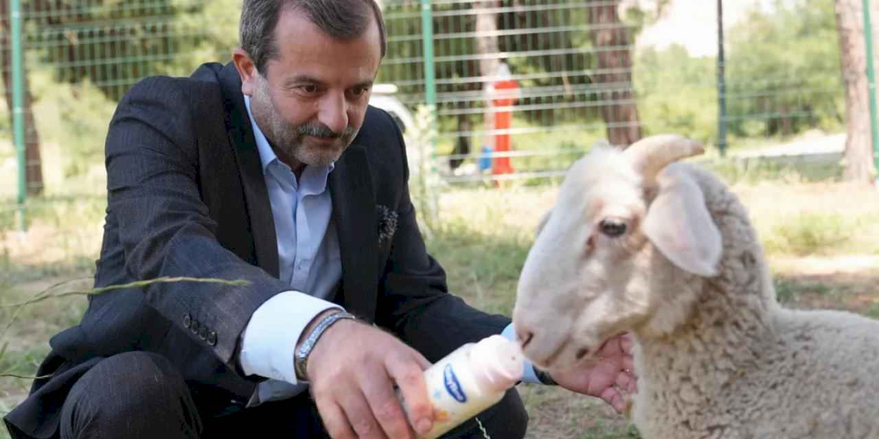 Bursa Gürsu'ya butik hayvanat bahçesi