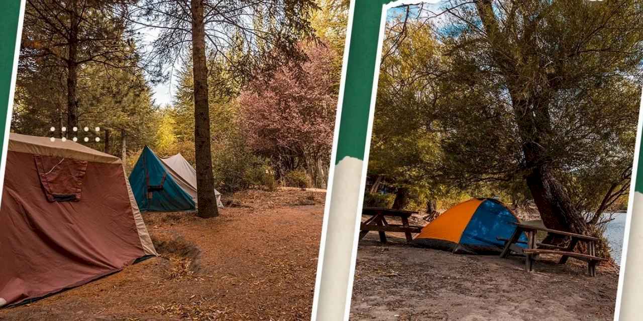 Aile bağları doğada güçleniyor